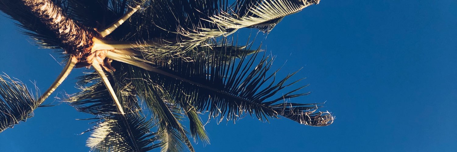 dmldr_'s profile banner image
