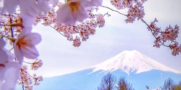 leonyagustien's profile banner image