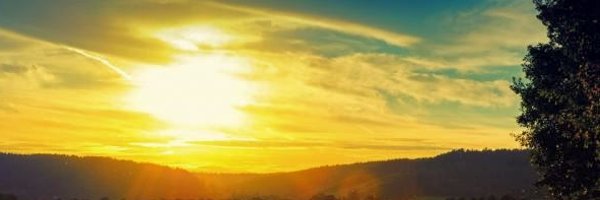 Licensehelp Profile Banner