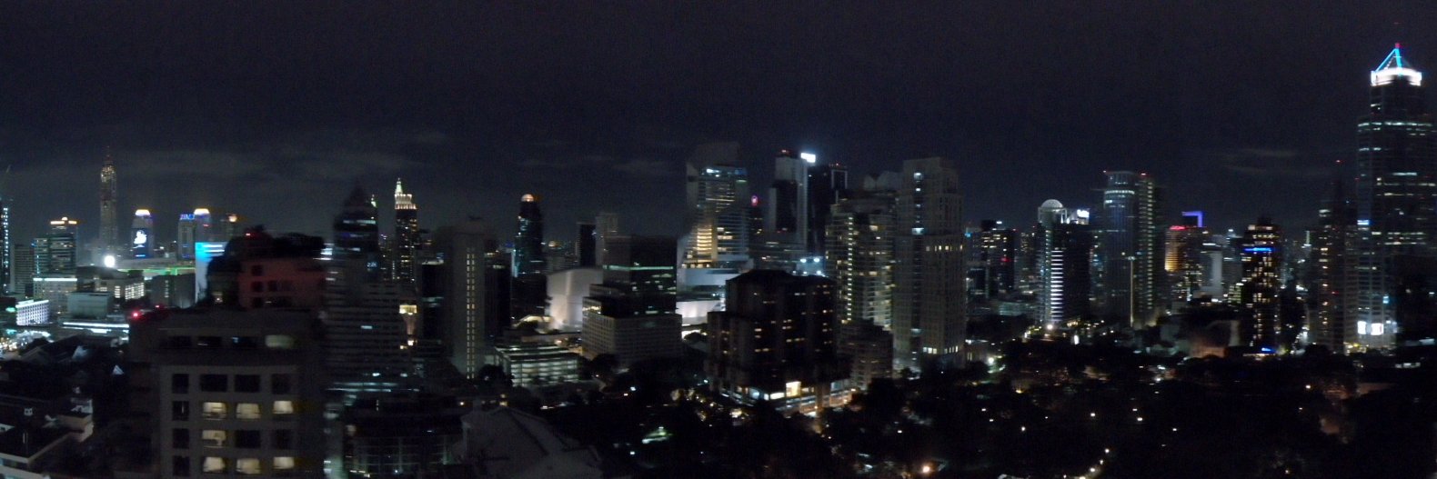 Penelope Lewin banner