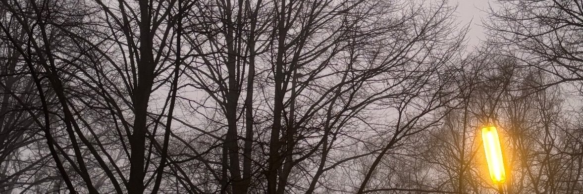 Cleangirl1992's profile banner image