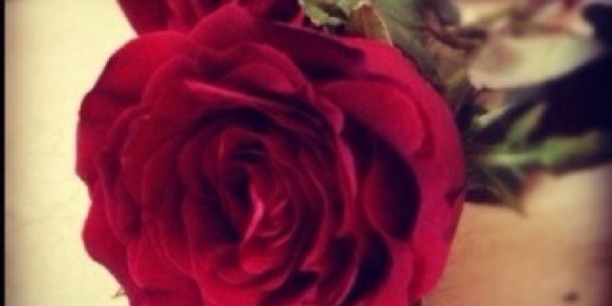 Stm05614219's profile banner image