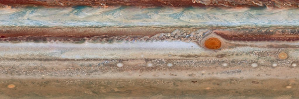 Elon's fragile ego banner