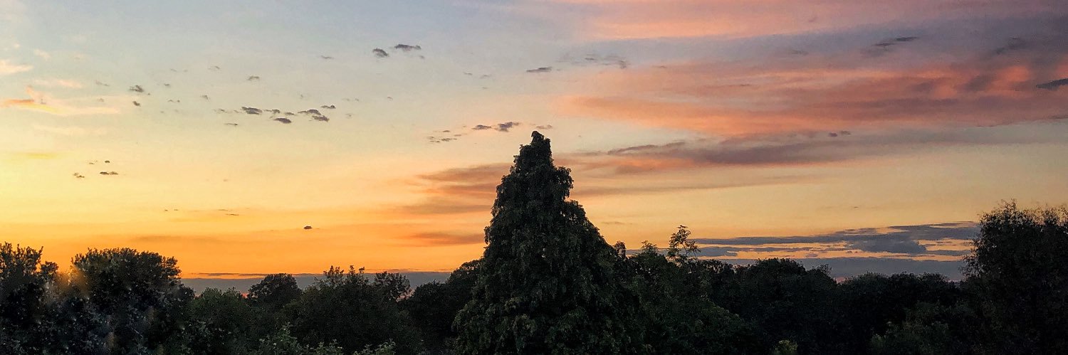 livingontheborderline🤷‍♀️ banner