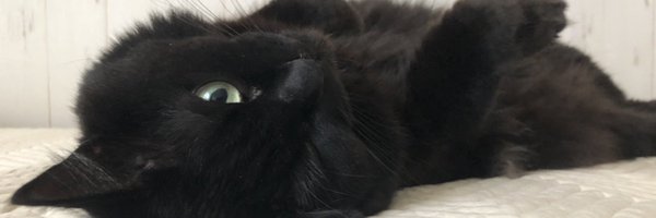 coxo_ii Profile Banner