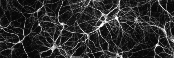 deep_thesis Profile Banner