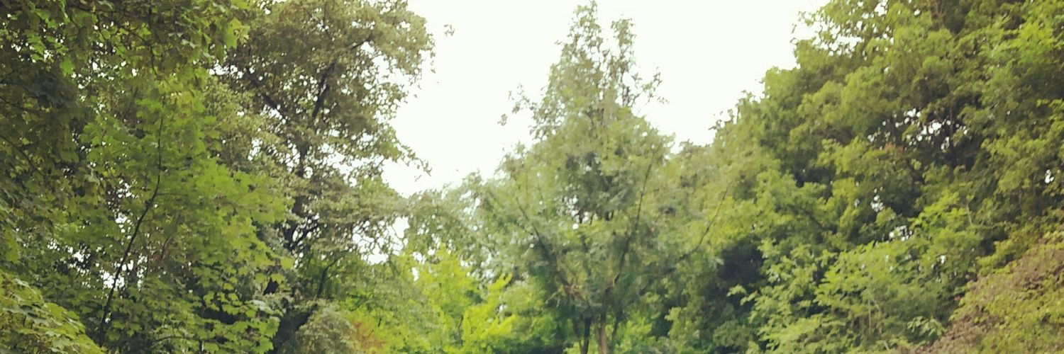 EH_Parrott's profile banner image