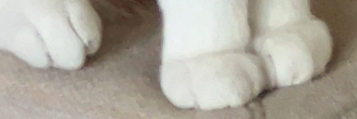 not active banner