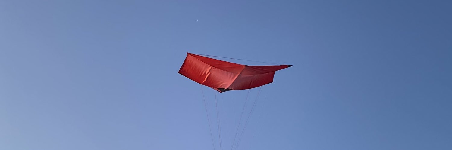 Runike's banner