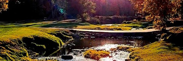 steveseelbach's profile banner image