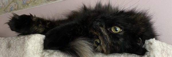 kfitz134 Profile Banner