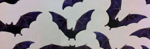 Bat_Vibes's profile banner image