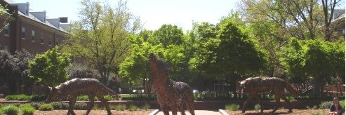 NCStateThings's profile banner image