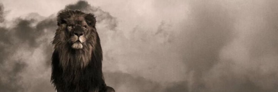 محمد بن درع |MBD banner