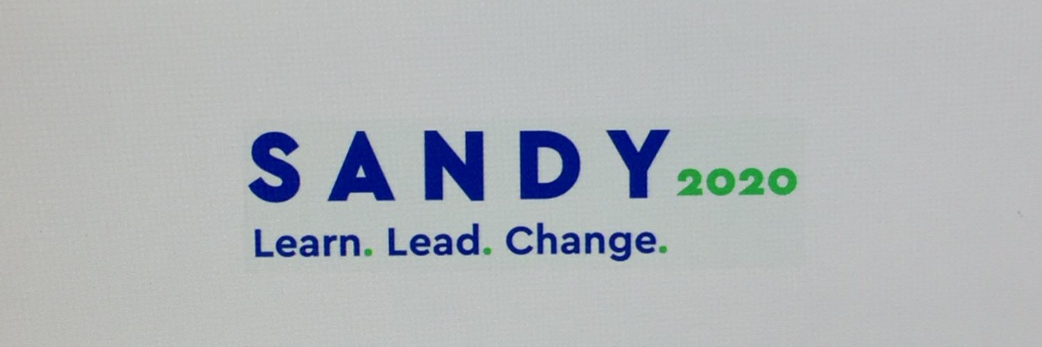 Sandy Shullman —2020 APA President Profile Banner
