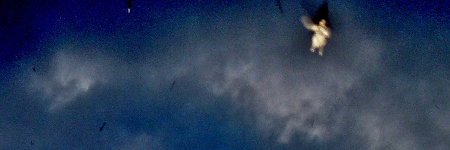 Discovery112611's profile banner image