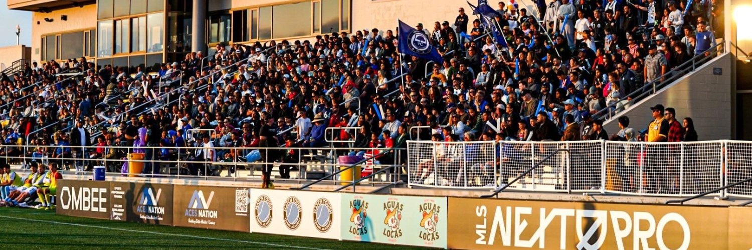 Michael Savvides banner