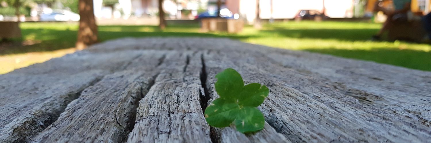 Anna-Katharina Wickert banner