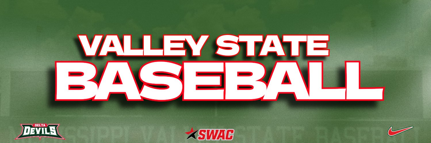 Valley State Baseball banner
