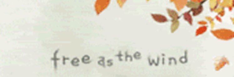 k_aycag's profile banner image