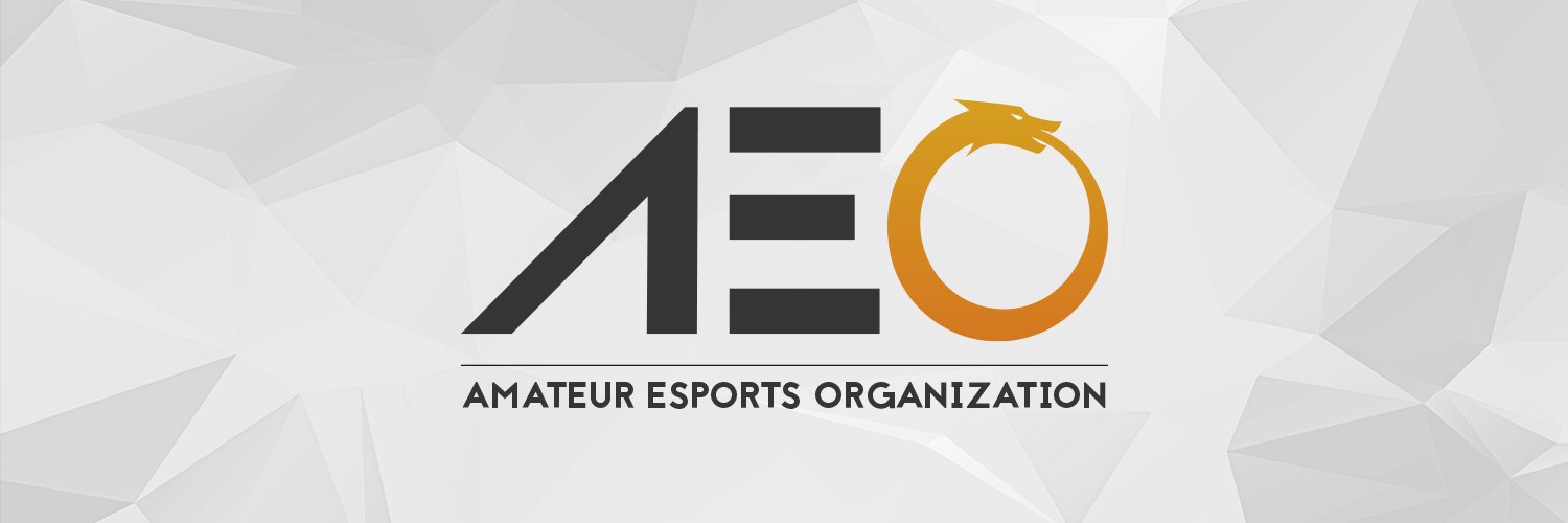 Amateur Esports Organization banner