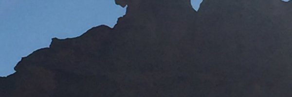 YlangLang1 Profile Banner