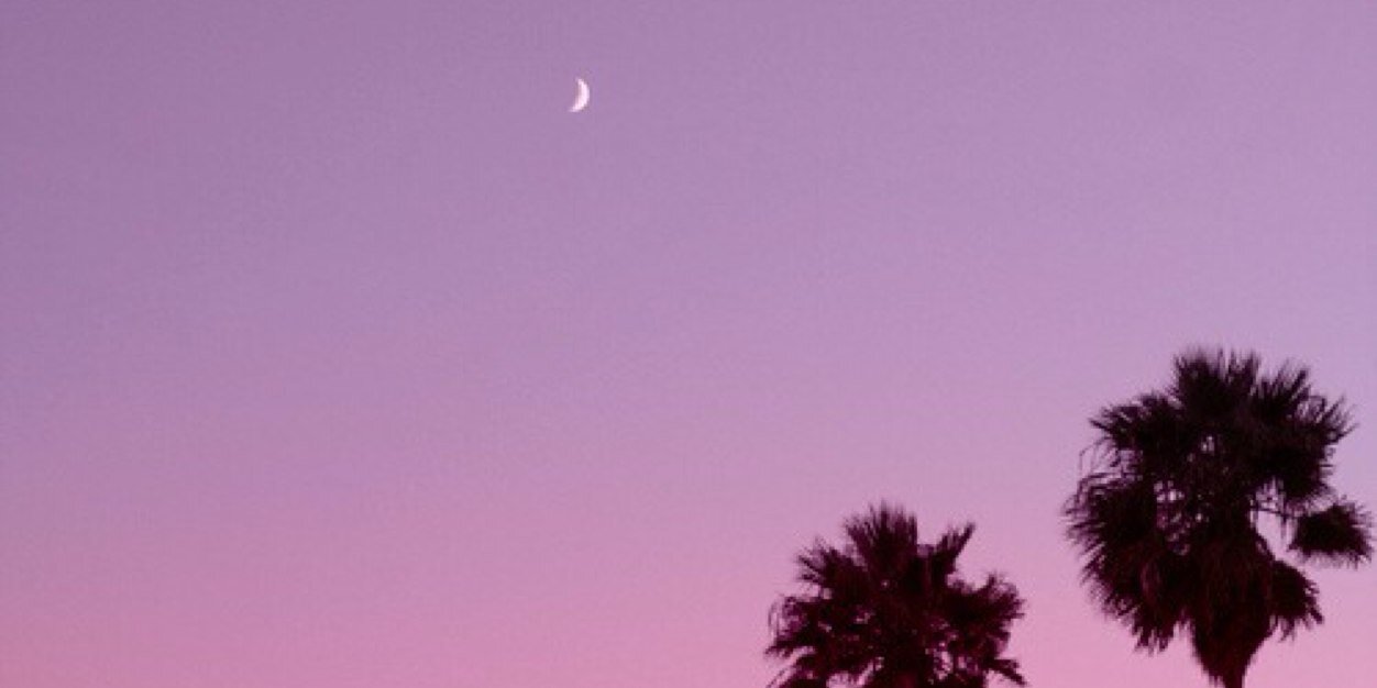 Shannonhojw's profile banner image