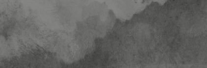 Renatafloresc's profile banner image