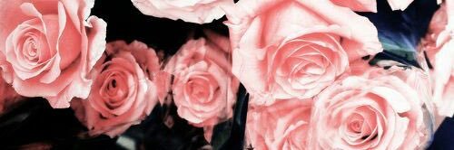 KDobrevatty's profile banner image