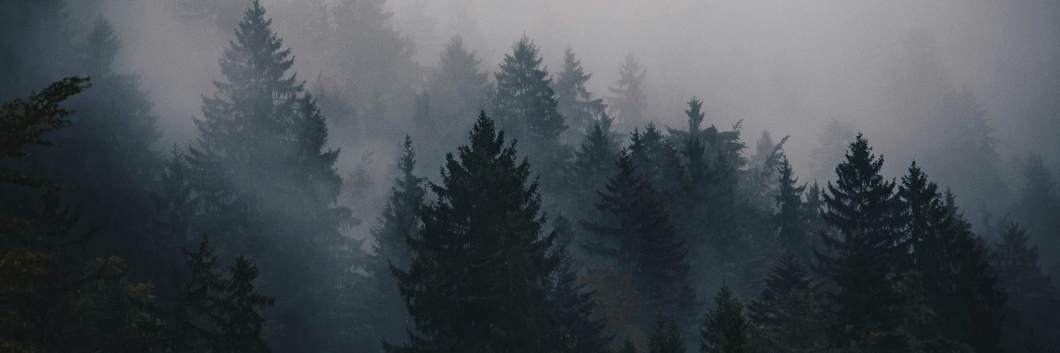 chrisjacem's profile banner image