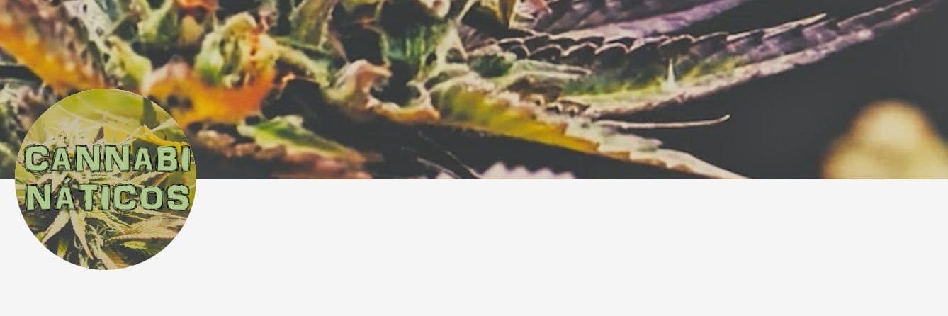 Adrián Tovar banner