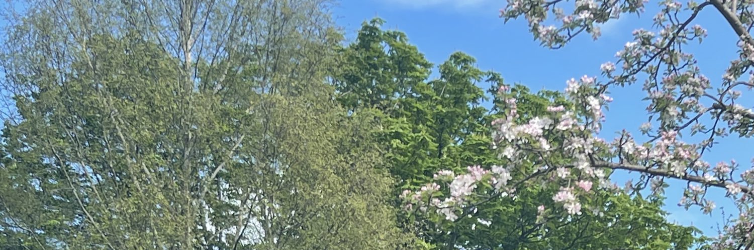 Frankug87's profile banner image