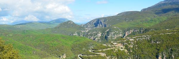 Shepdaddy Profile Banner