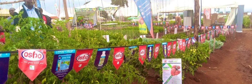 Osho Chemicals banner