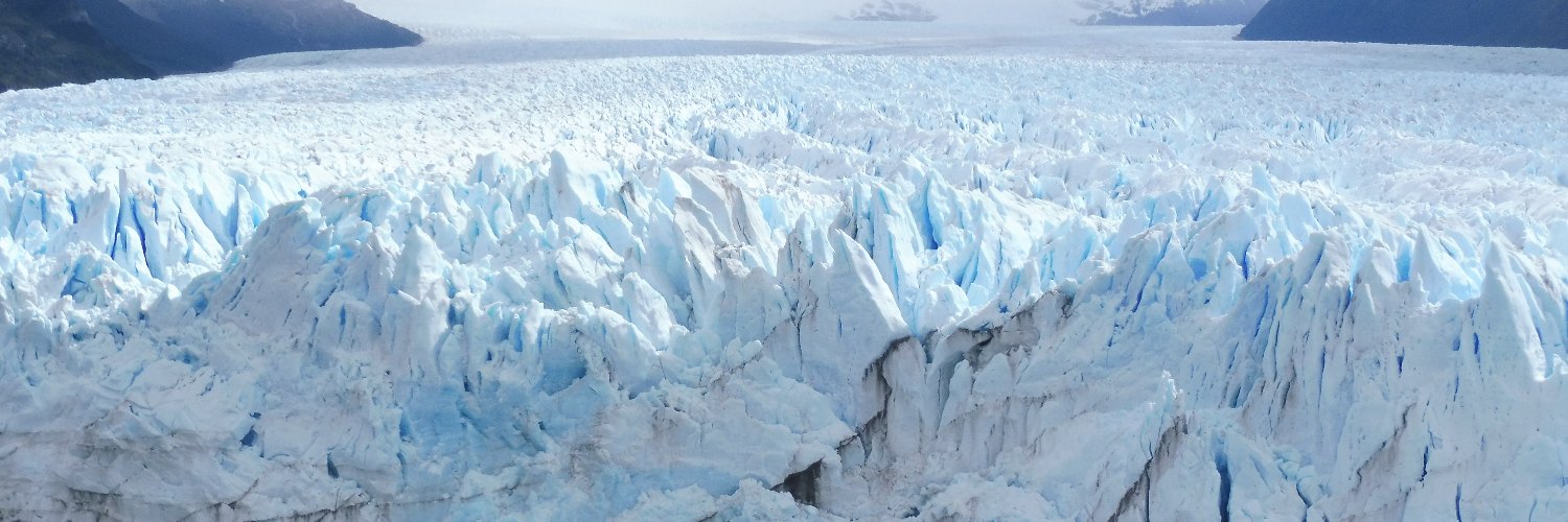 Albert Bertran banner