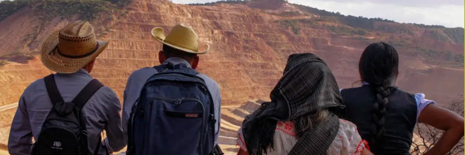 Red Mexicana de Afectadas/os por la Minería -REMA-'s banner