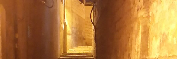 Birdynamnam3 Profile Banner