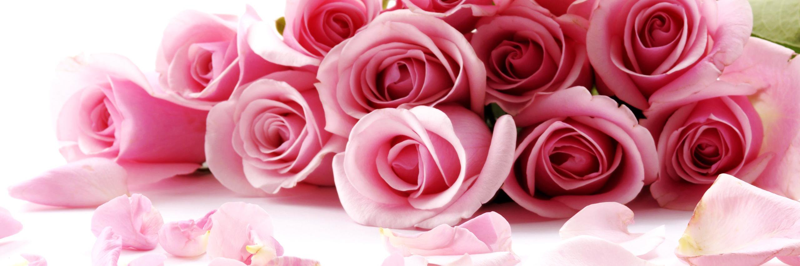 Kelly3138's profile banner image