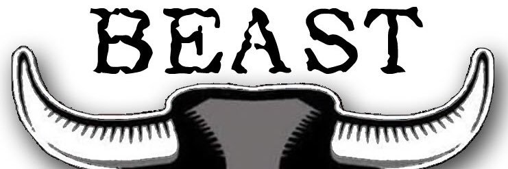 BullDredd's profile banner image