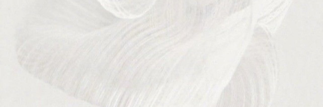 Nalfrayan's profile banner image