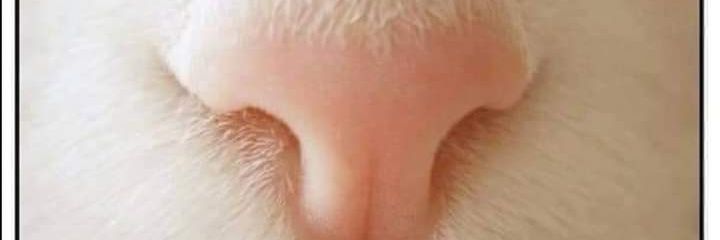 Abrik19's profile banner image
