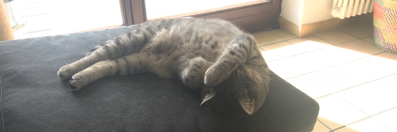 Akif Emre Türeli banner