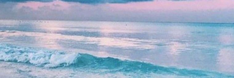 AlxndraNbriella's profile banner image