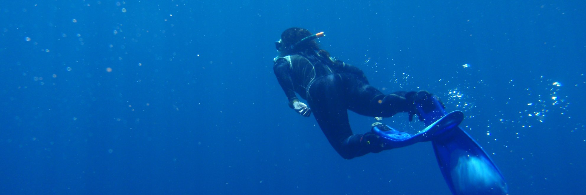 Ana MM Sequeira's banner