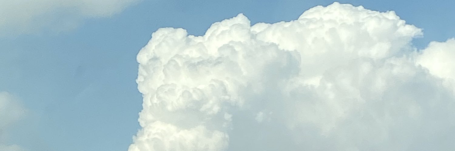 عبدالله الحربي banner