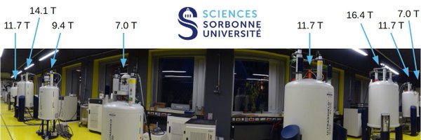 GuL916 Profile Banner