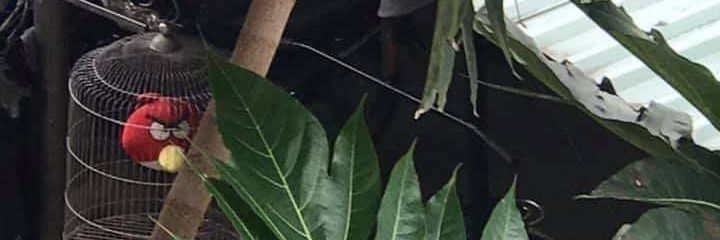 junkboxz's profile banner image
