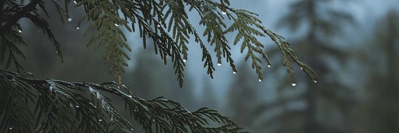 reallytate_'s profile banner image