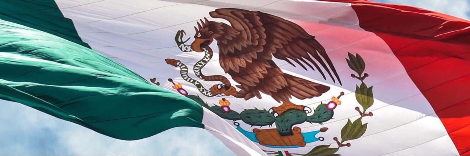 Mónica Aspe Bernal banner