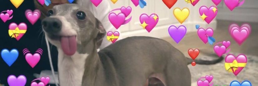 dinkTDE's profile banner image
